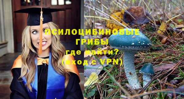 прущая мука Богданович