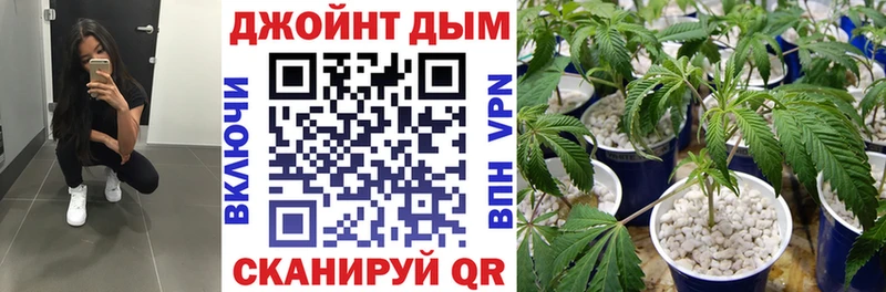 Бошки Шишки марихуана  Нижний Новгород 